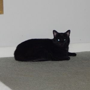 Meet your Posher, Ash